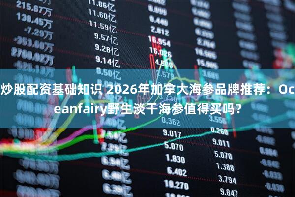 炒股配资基础知识 2026年加拿大海参品牌推荐：Oceanfairy野生淡干海参值得买吗？